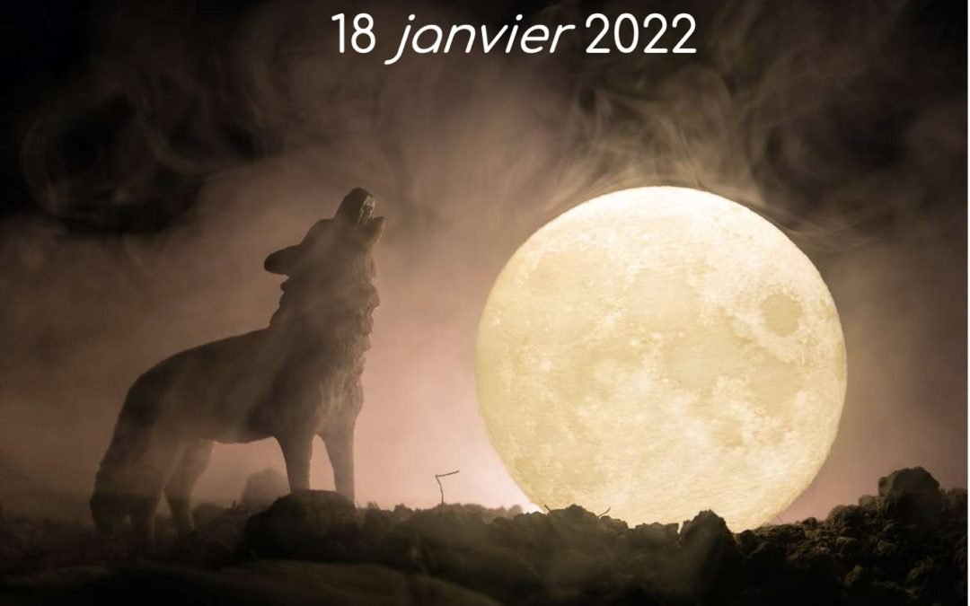 ???? PLEINE LUNE DU 18 JANVIER 2022 ????