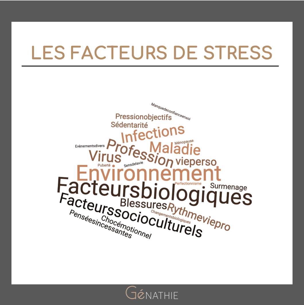 Les facteurs de stress