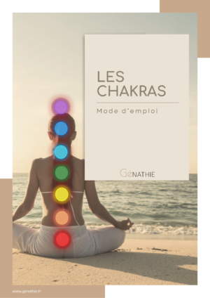 Ebook Les chakras, mode d'emploi (122 pages)